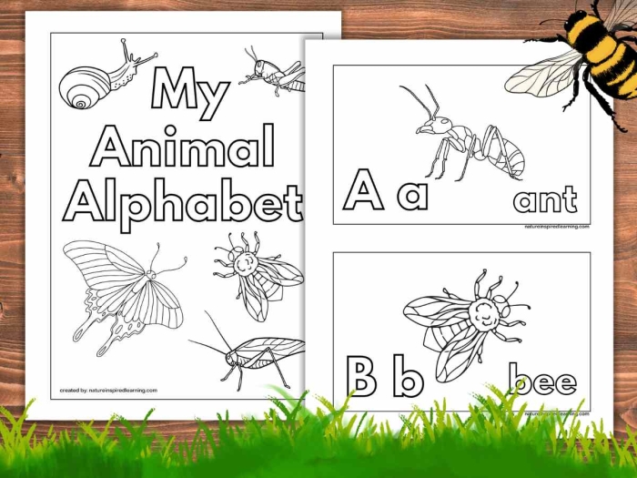 Color the Animal Alphabet worksheet for Pre-K students with an alligator illustration A fun worksheet featuring a colorful alligator shaped like the letter A for preschoolers
