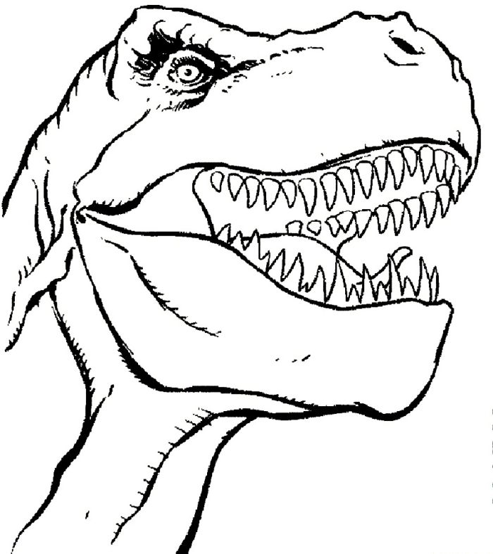 A fierce-looking Tyrannosaurus Rex ready for coloring on a fun worksheet
