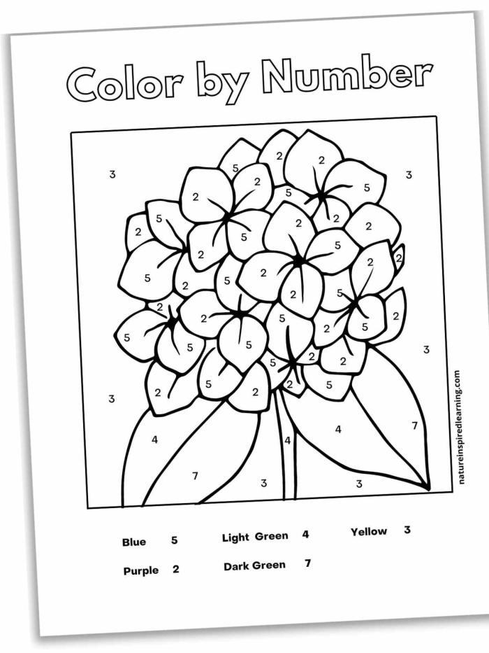Reading worksheet for Pre-K Colorful flower-themed worksheet for Pre-K learners focusing on the number 3. Engaging "Color the Flowers: Number 3" worksheet for early math practice.