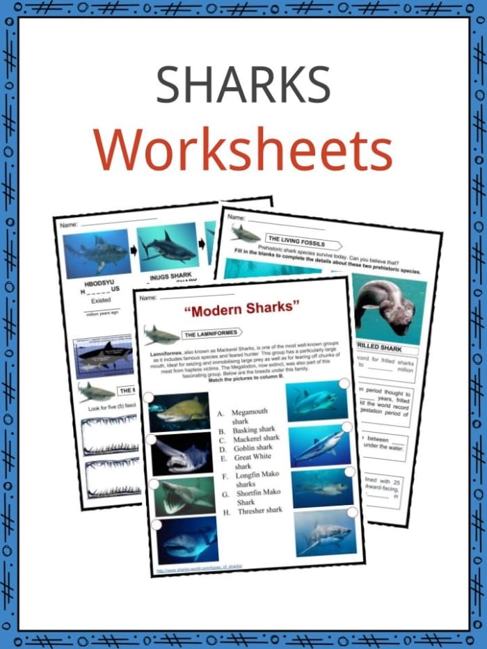 Color the Mako Shark worksheet for early life science learners number 24 Pre-K student coloring worksheet featuring a friendly illustration of a powerful mako shark
