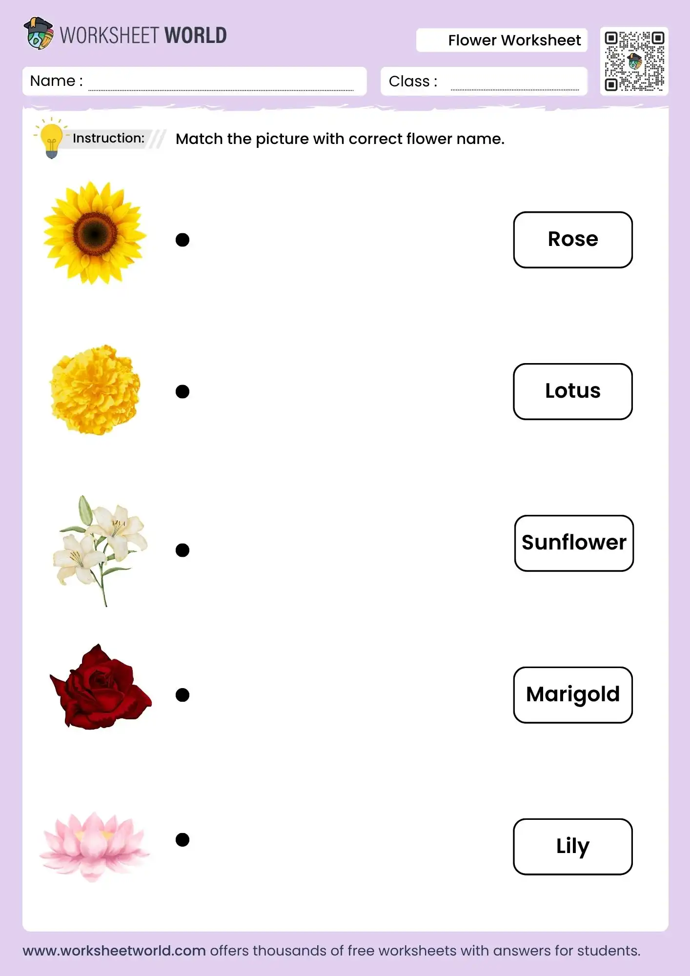 A young child coloring a beautiful rose on a worksheet for a fun preschool nature activity