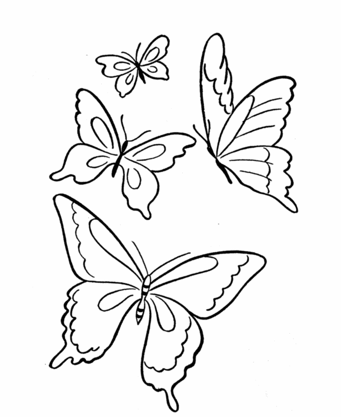Kindergarten worksheet featuring a detailed butterfly and the word Springtime for coloring