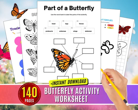 Color the Springtime Butterfly worksheet for Kindergarten
