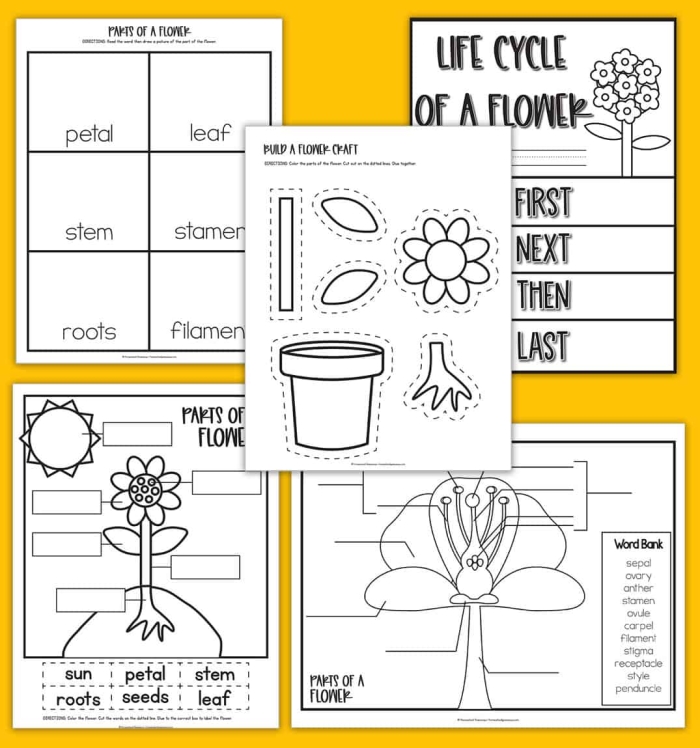 Engaging educational image for a Pre-K flower knowledge activity Colorful Complete a Flower Fill-In! worksheet designed for preschoolers to learn about flower parts