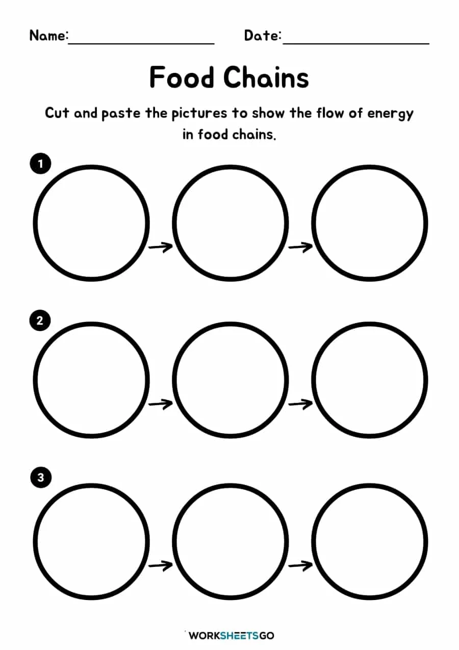 Colorful worksheet for fourth graders on the basics of food chains