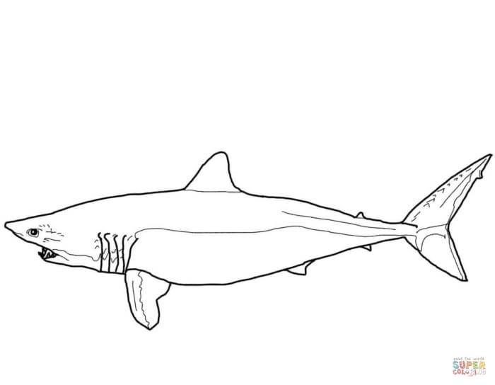 Life Science worksheet for Pre-K Coloring worksheet featuring a mako shark, ideal for young learners in Pre-K. Engaging coloring activity to explore the world of mako sharks.