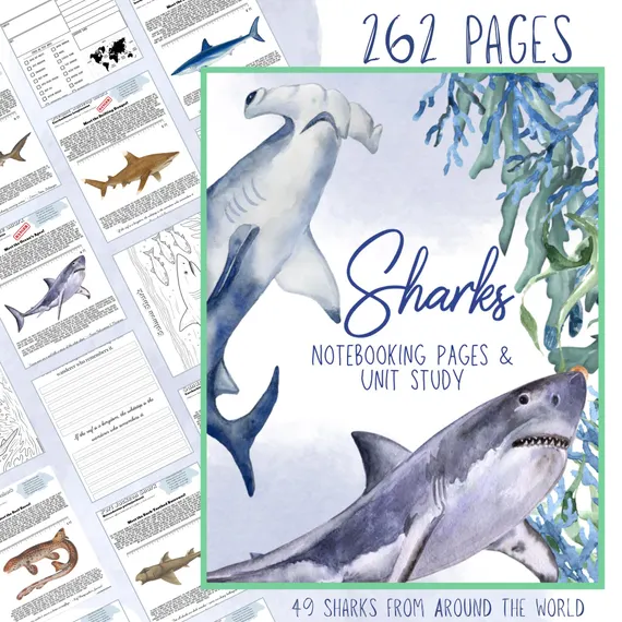 Engaging Mako Shark coloring activity for Pre-K students Coloring worksheet featuring a mako shark for young learners