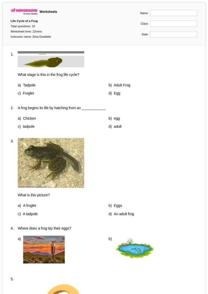 Coloring activity featuring the life cycle stages of a frog for first graders