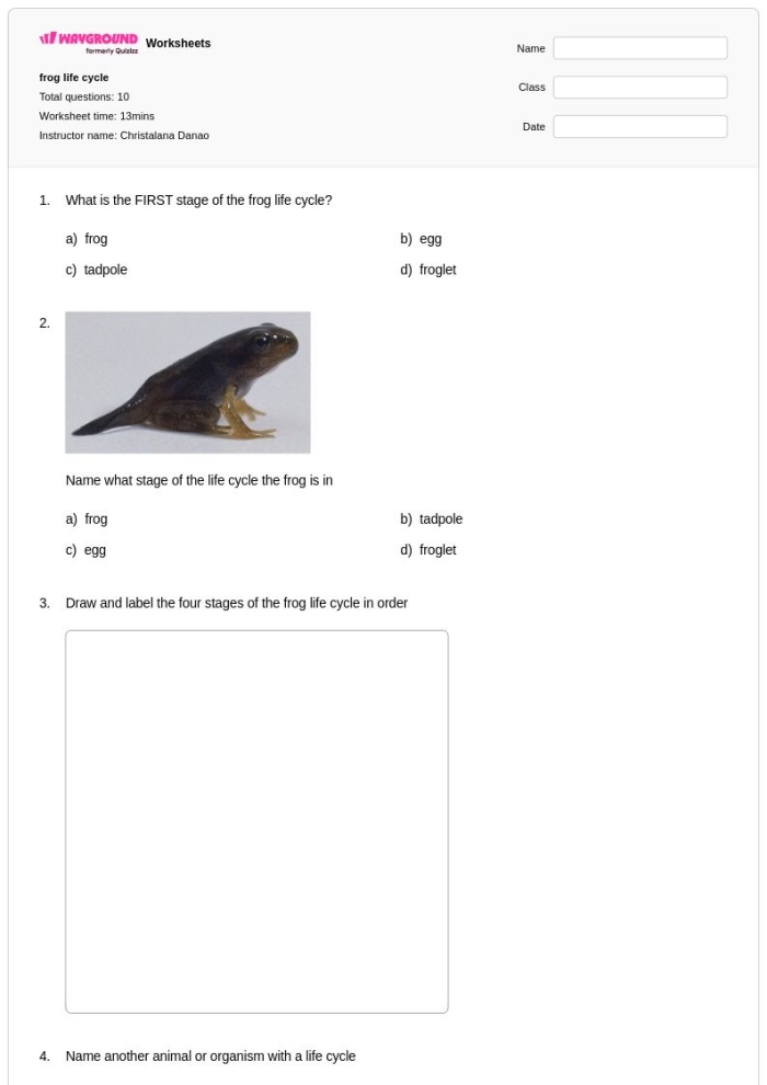 Coloring worksheet illustrating the life cycle stages of a frog for first graders