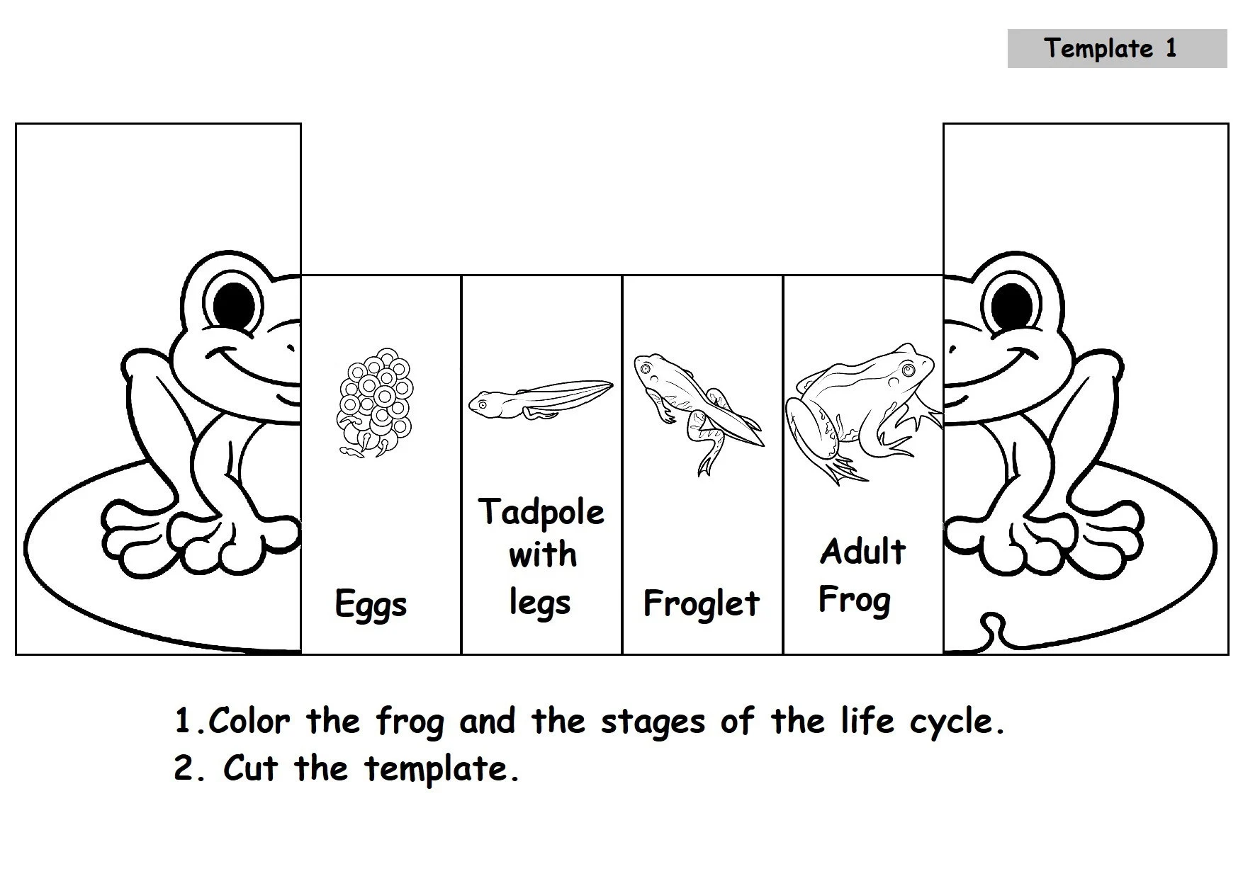 Coloring worksheet depicting the life cycle stages of a frog for first graders