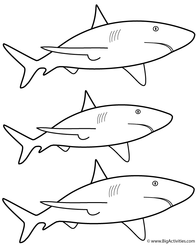 Great White Shark coloring worksheet for kids interested in marine life