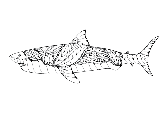 Pre-K student coloring page featuring a detailed Great White Shark illustration for science lessons