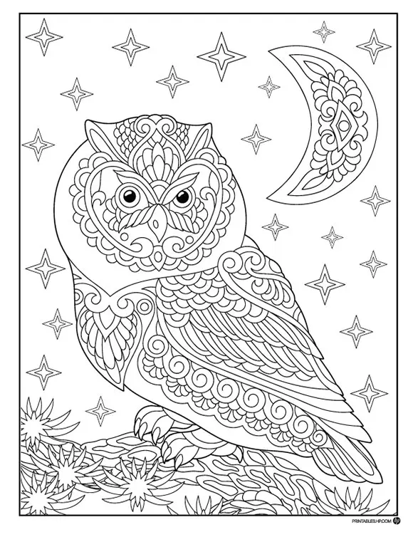 Colorful Halloween-themed owls ready for kids to color in on this fun worksheet. Engaging Color the Halloween Owls worksheet for Pre-K animal enthusiasts.