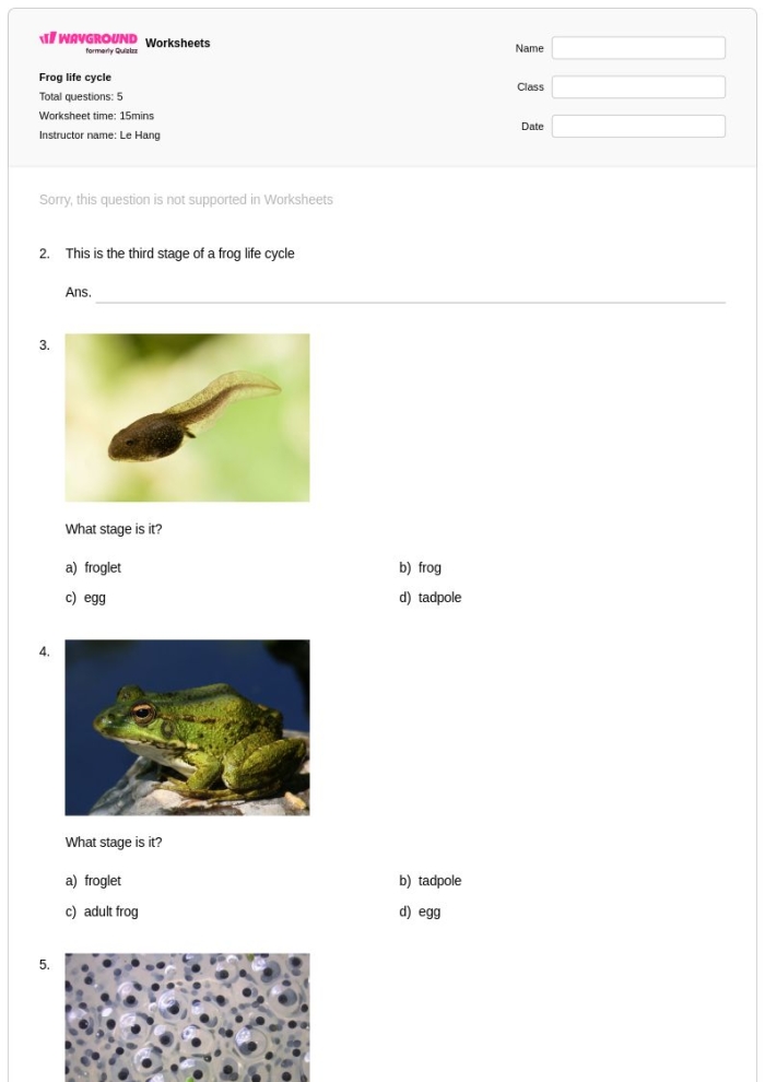 Coloring worksheet depicting the life cycle of a frog for first graders