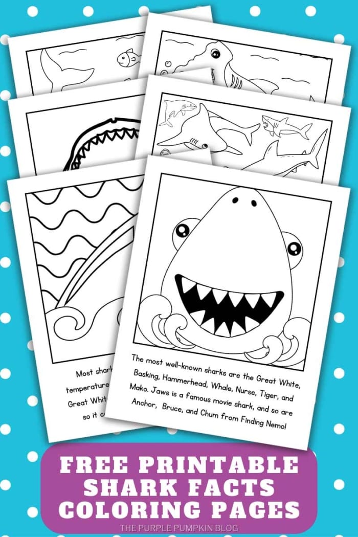 Engaging Mako Shark coloring sheet for Pre-K life science activities Coloring worksheet featuring a mako shark for young learners