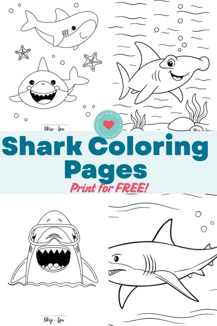 Engaging Mako Shark coloring worksheet for young learners in Life Science Coloring sheet featuring a Mako Shark for Pre-K kids to learn about marine life