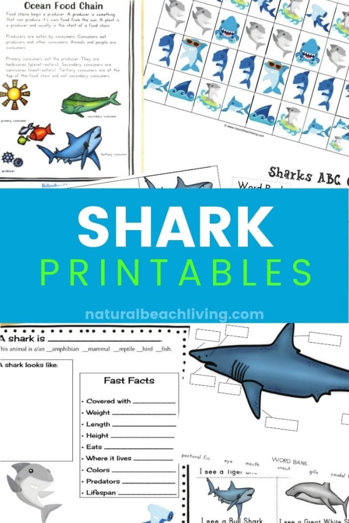 Mako Shark Coloring Sheet Number 23 A coloring page featuring a friendly mako shark swimming for preschool students