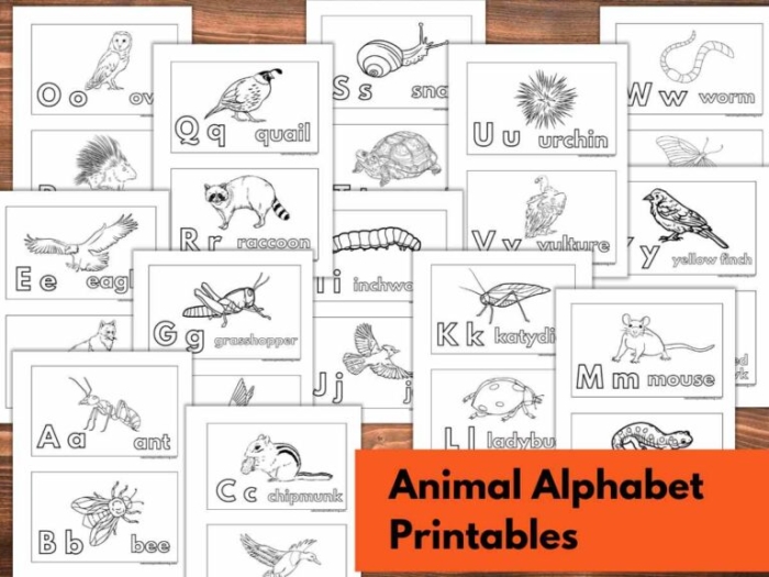 Color the Animal Alphabet: Fun worksheet for Pre-K learners A playful worksheet featuring a colorful A-shaped alligator for letter recognition