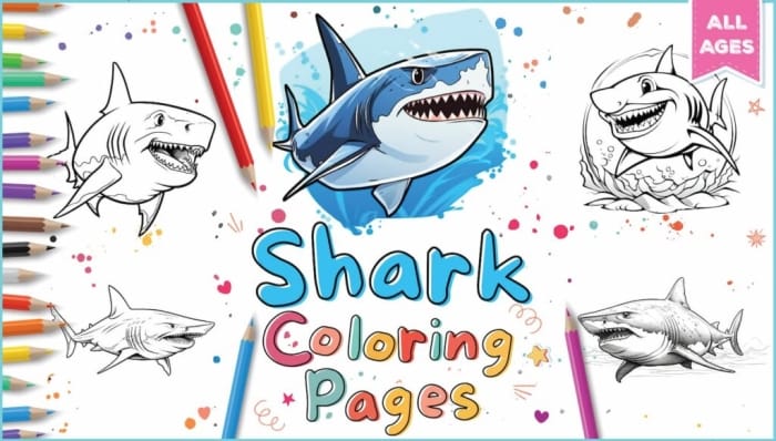 Mako Shark Coloring Page for Pre-K Science Activity 12 A young child coloring a detailed illustration of a fast-swimming mako shark for a life science lesson