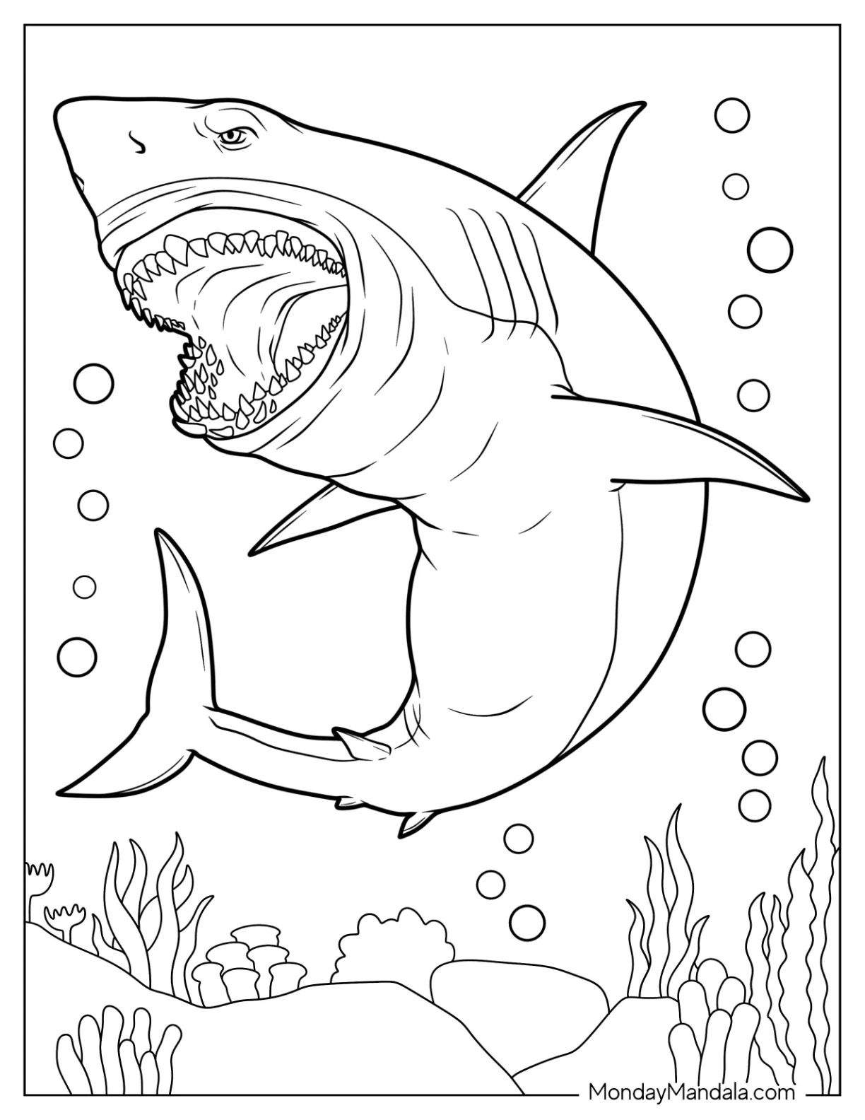 Pre-K student coloring a detailed great white shark worksheet for physical science