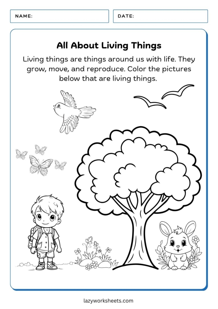 Engaging Living Things worksheet for Pre-K students to explore and identify life forms. Colorful worksheet featuring various living things for preschoolers to color and learn.