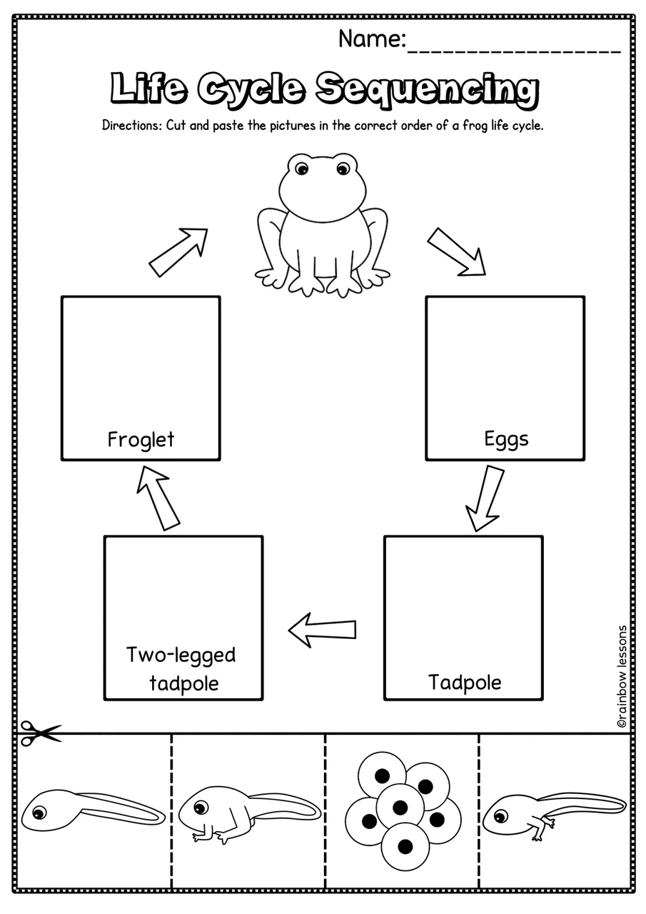 Coloring worksheet illustrating the life cycle of a frog for first graders