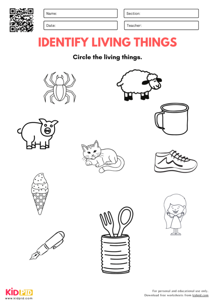 Engaging Living Things worksheet for Pre-K students to color and learn Coloring worksheet for preschoolers about identifying living things