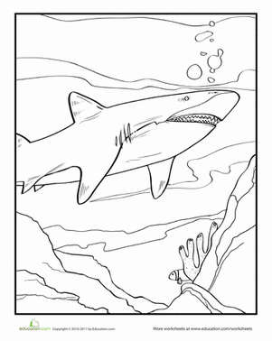Coloring worksheet featuring a great white shark for young children