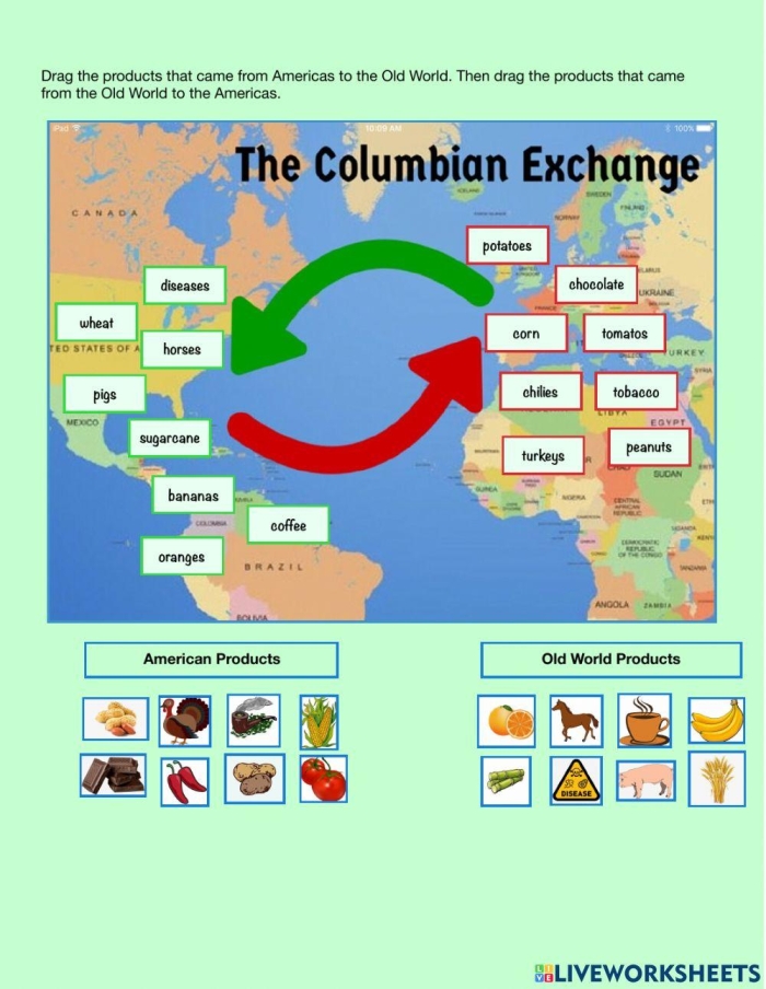 Educational resource for understanding the Columbian Exchange effects Worksheet illustrating the impact of the Columbian Exchange for sixth graders