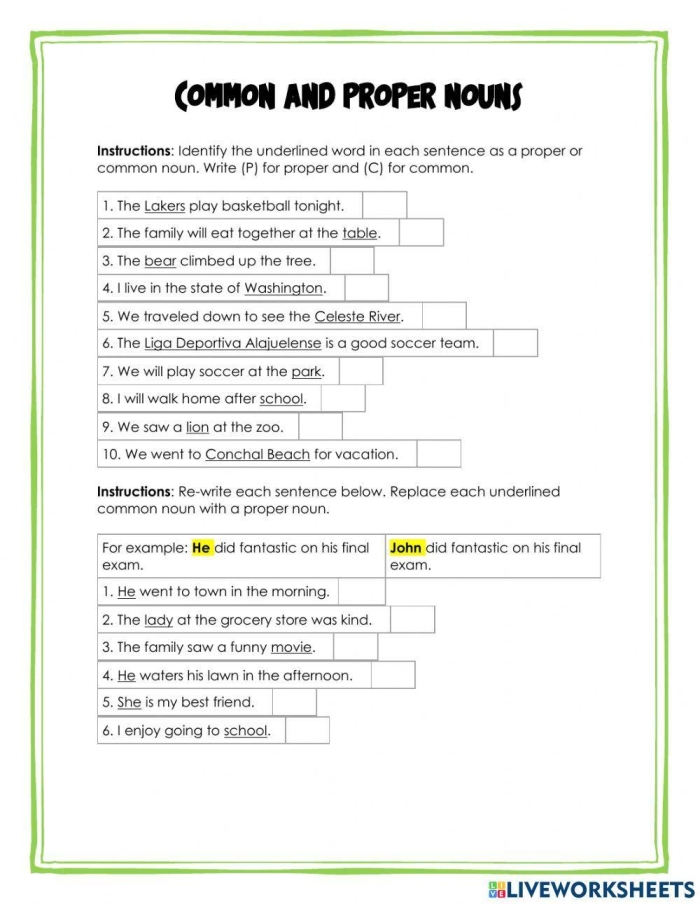 Fourth grade worksheet for practicing the identification of common and proper nouns
