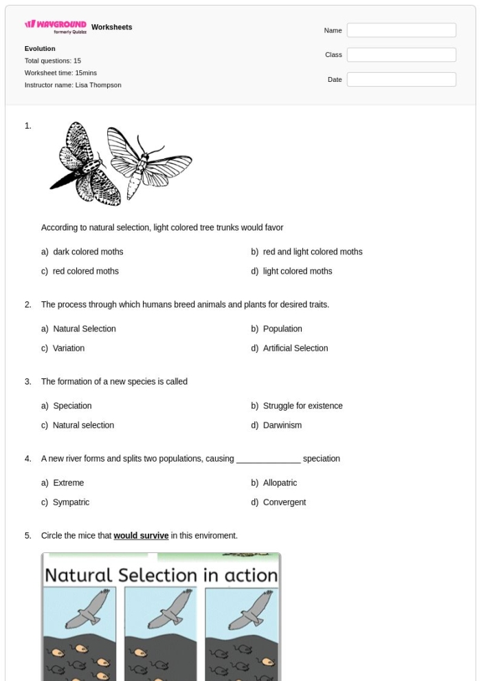 Sixth grade science students analyzing analogous and homologous structures on a comparative anatomy worksheet