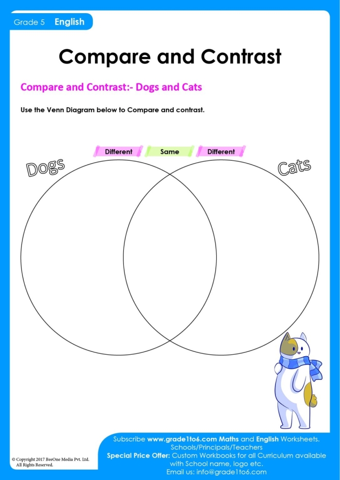 Worksheet for comparing and contrasting influential female athletes in sports