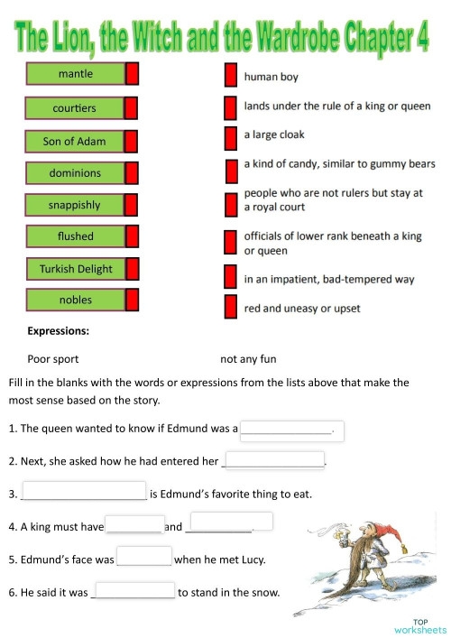 Reading comprehension activity for comparing two scenes from The Lion the Witch and the Wardrobe worksheet page 22 Sixth grade students comparing and contrasting scenes from The Lion the Witch and the Wardrobe using a reading comprehension worksheet with graphic organizer