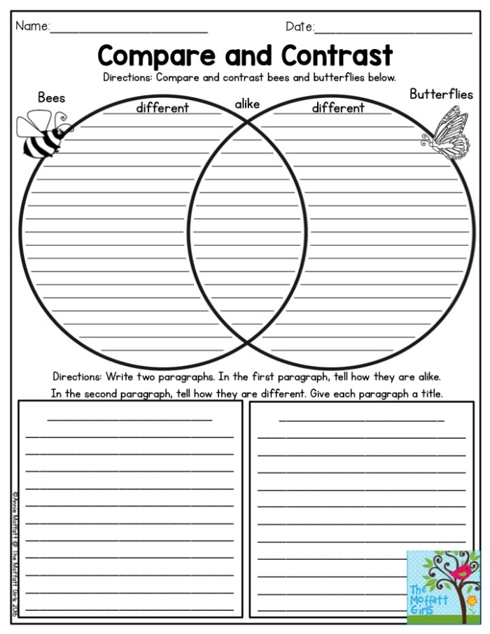 Worksheet for comparing and contrasting two short stories using a graphic organizer