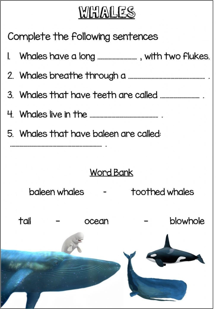 Worksheet for comparing and contrasting whales using a Venn diagram for third graders