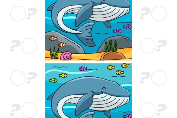Worksheet featuring a Venn diagram for comparing and contrasting whales in third-grade fractions lessons