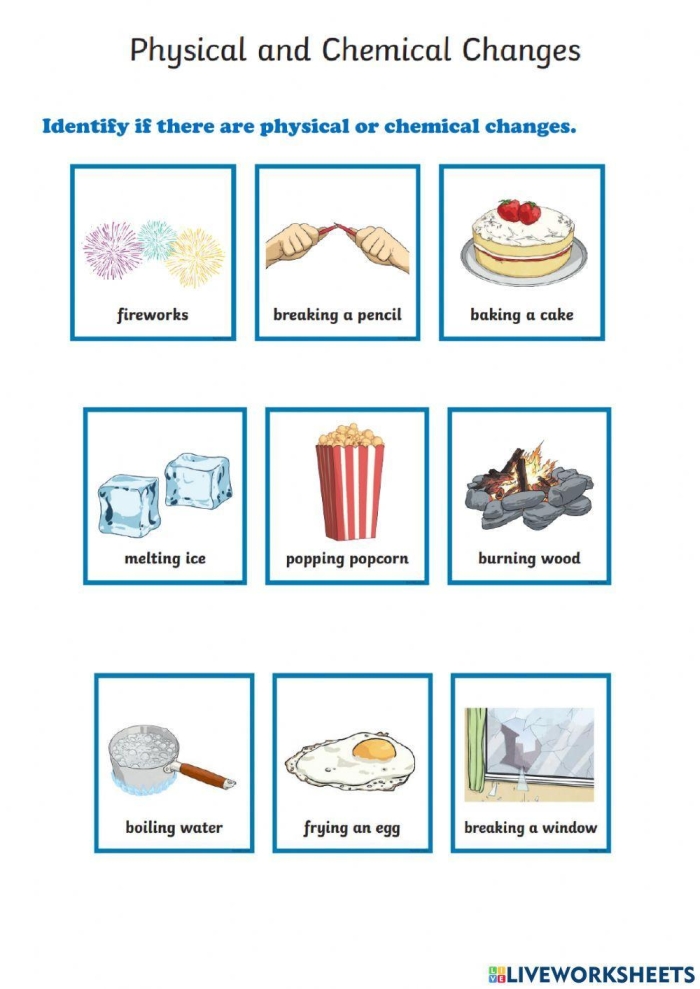 Worksheet illustrating the differences between chemical and physical changes for third graders