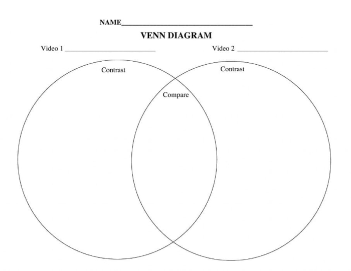 Worksheet for comparing and contrasting influential female athletes in sports