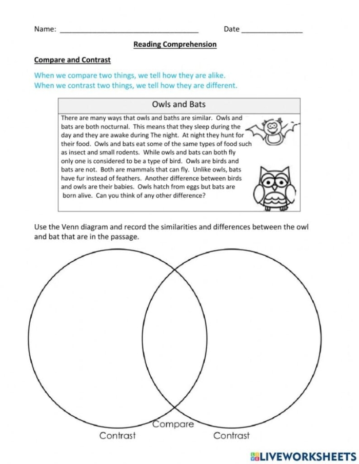 Worksheet featuring a compare and contrast activity on influential female athletes