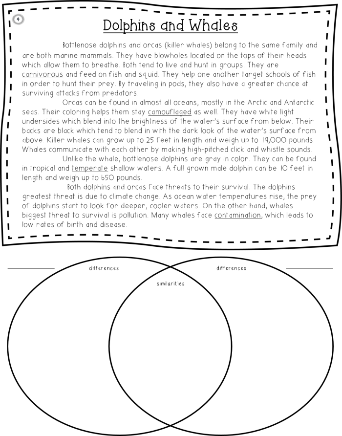 Worksheet featuring a compare and contrast activity on influential female athletes