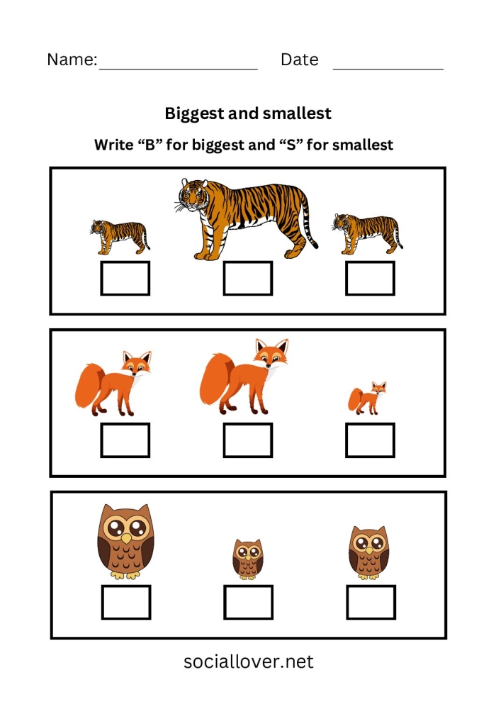 Fifth grade students comparing volumes of rectangular boxes using greater than and less than symbols