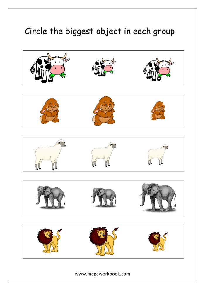 Fifth grade science worksheet comparing box volumes using greater than and less than symbols