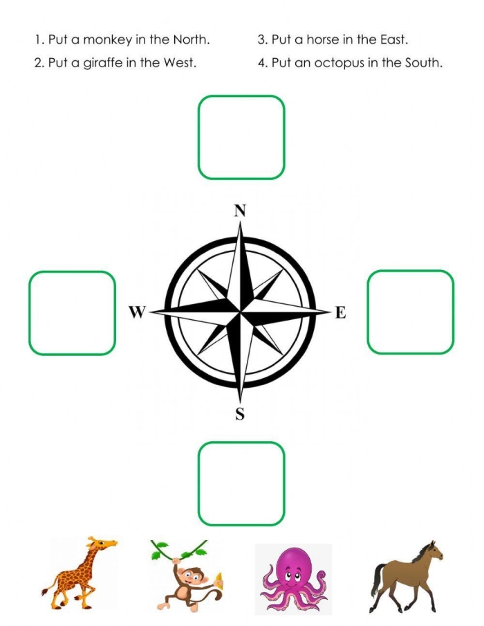 A fourth grade student learning to identify cardinal and intermediate directions using a compass rose on a map worksheet