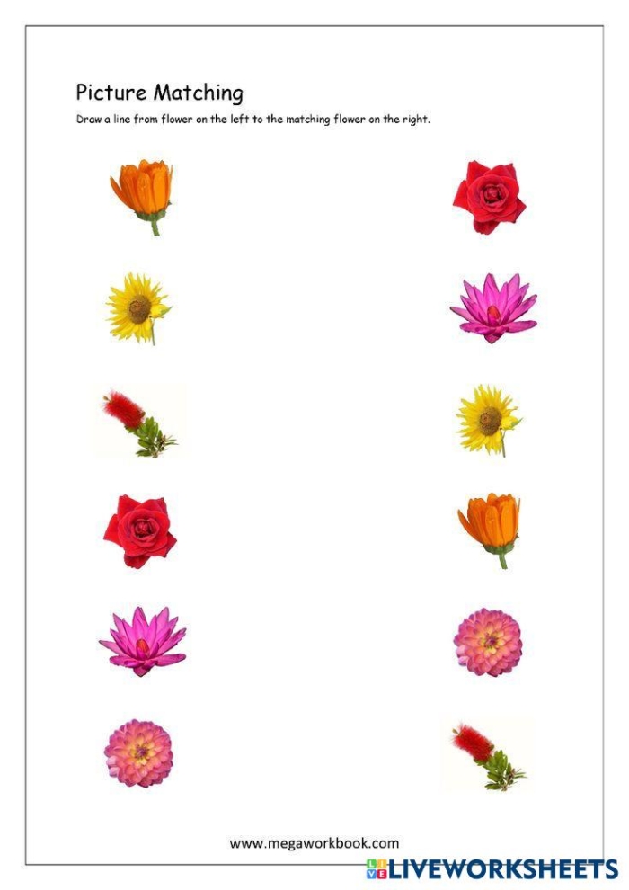 Complete a Flower Fill-In! worksheet for early science learning Bright and engaging worksheet for preschoolers to explore flower parts