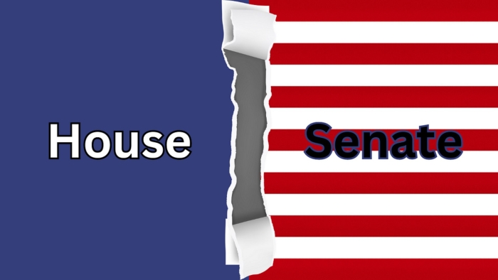 The Legislative Branch: Two Chambers of Congress civics worksheet for middle school learners Sixth grade students studying the structure and functions of the two chambers of Congress in the legislative branch