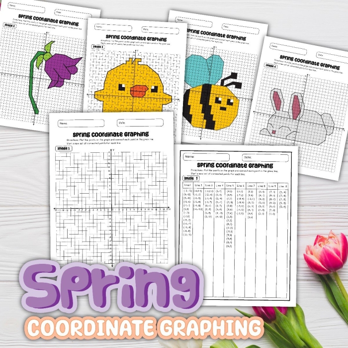 Fifth grade students plotting coordinates on a grid to uncover a nighttime mystery picture in this graphing worksheet activity