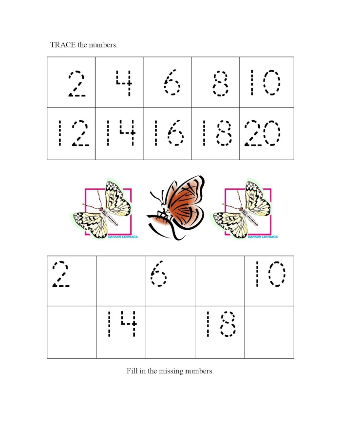 Counting by 2s worksheet designed for second graders to practice skip counting with dots
