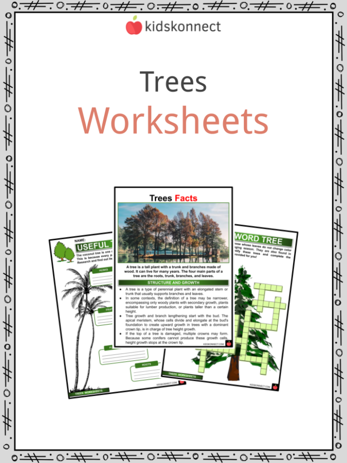 Counting trees educational activity for preschoolers worksheet 22 Pre-K worksheet with a forest counting exercise for children number 22