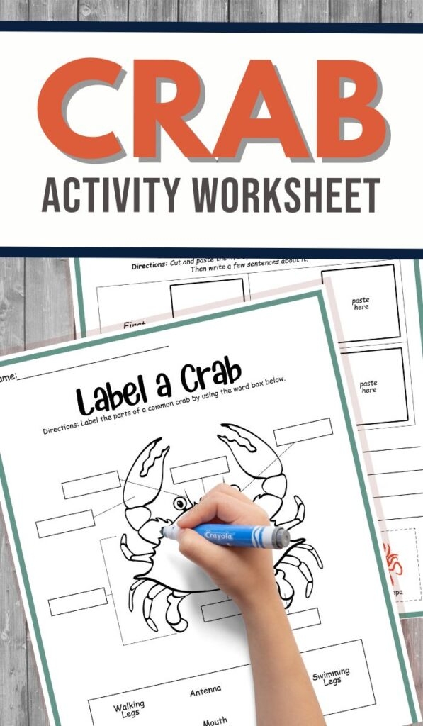 Fourth grade phonics worksheet featuring the story The Crab That Played with the Sea