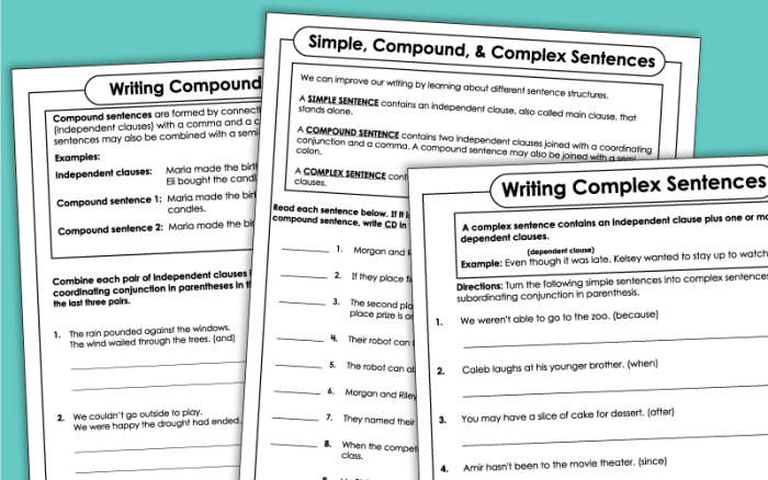 Grammar and Mechanics worksheet for Third Grade Creating Compound Sentences worksheet for Third Grade